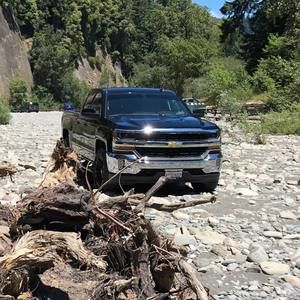 Meet your Posher, Mattie